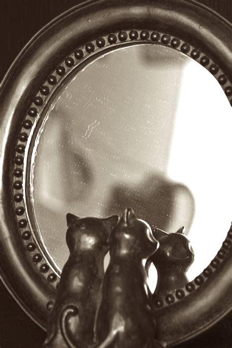 Unlocking the Magic of Mirror Cat Charms and Talismans